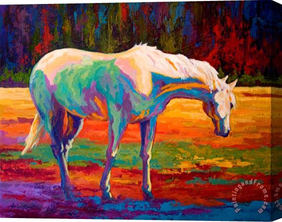 Marion Rose White Mare II Stretched Canvas Print / Canvas Art
