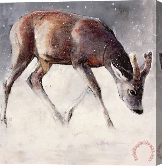 Mark Adlington Roe Buck - Winter Stretched Canvas Painting / Canvas Art
