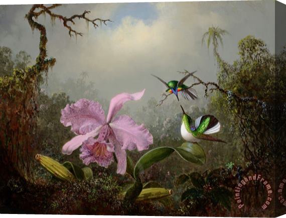 Martin Johnson Heade Cattleya Orchid with Two Brazilian Hummingbirds, 1871 Stretched Canvas Print / Canvas Art