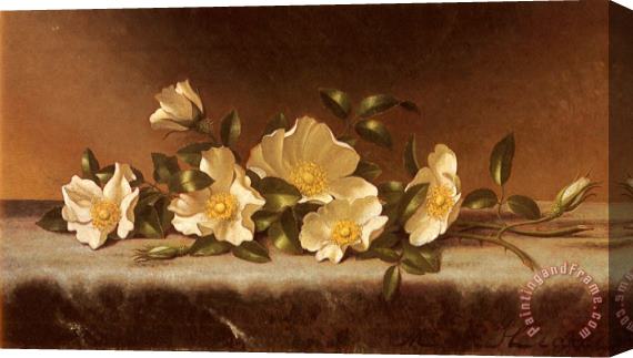 Martin Johnson Heade Cherokee Roses on a Light Gray Cloth Stretched Canvas Painting / Canvas Art