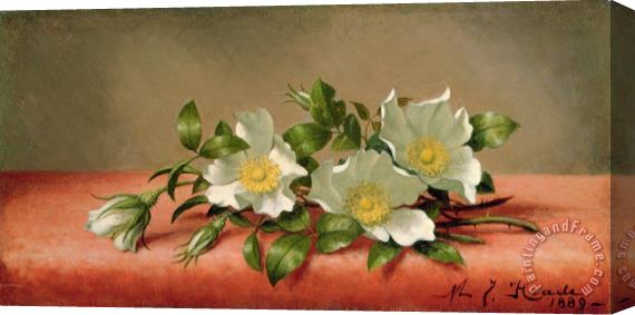 Martin Johnson Heade Cherokee Roses Stretched Canvas Painting / Canvas Art