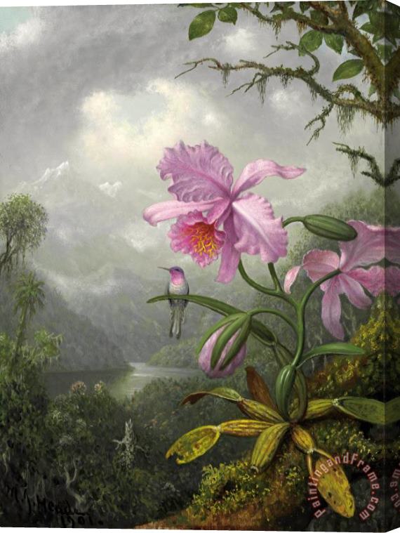 Martin Johnson Heade Hummingbird Perched on The Orchid Plant Stretched Canvas Painting / Canvas Art