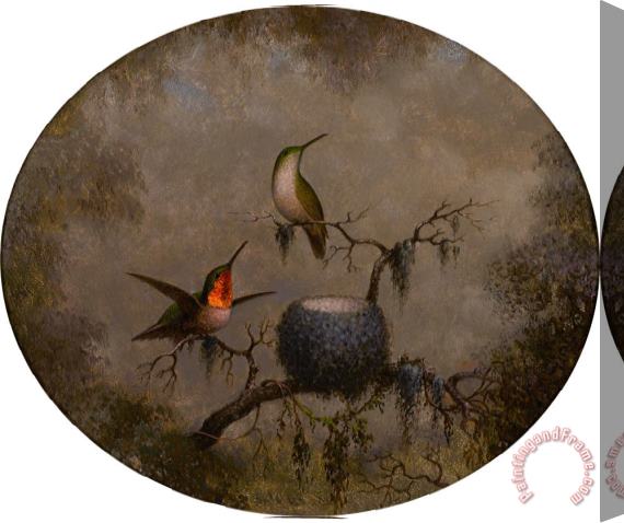 Martin Johnson Heade Hummingbirds And Their Nest Stretched Canvas Print / Canvas Art