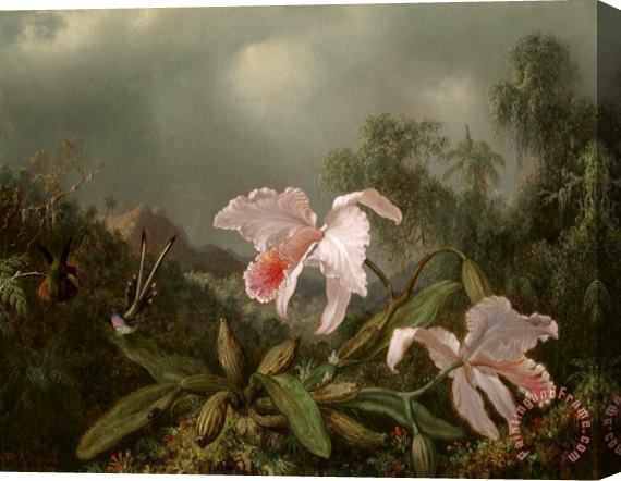 Martin Johnson Heade Jungle Orchids And Hummingbirds Stretched Canvas Painting / Canvas Art