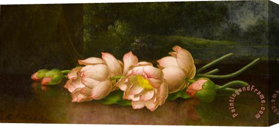 Martin Johnson Heade Lotus Flowers a Landscape Painting in The Background Stretched Canvas Painting / Canvas Art
