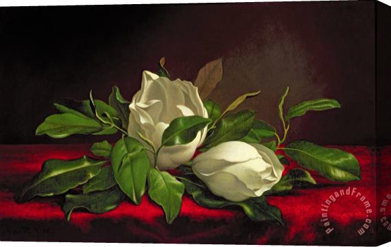 Martin Johnson Heade Magnolia Stretched Canvas Painting / Canvas Art