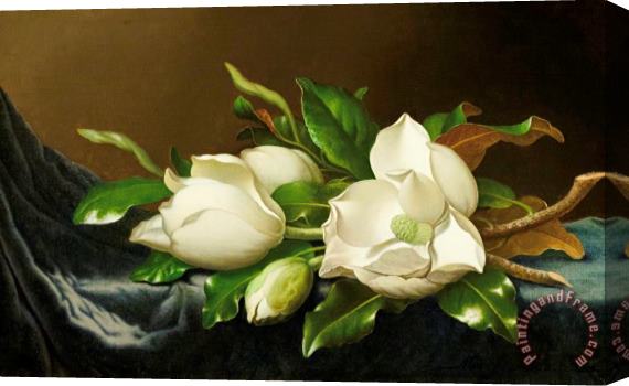 Martin Johnson Heade Magnolias on Blue Velvet Couch Stretched Canvas Painting / Canvas Art