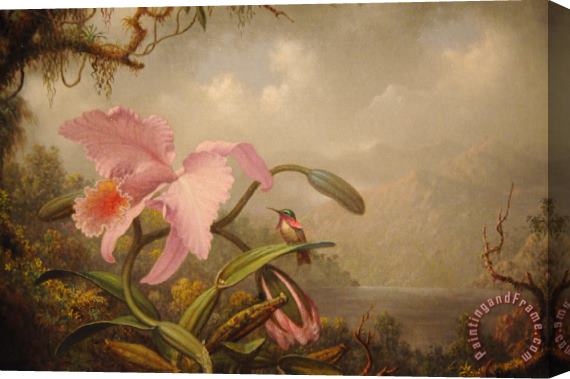 Martin Johnson Heade Orchid And Hummingbird Stretched Canvas Print / Canvas Art