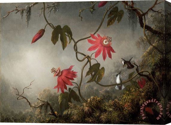 Martin Johnson Heade Passion Flowers And Hummingbirds Stretched Canvas Painting / Canvas Art