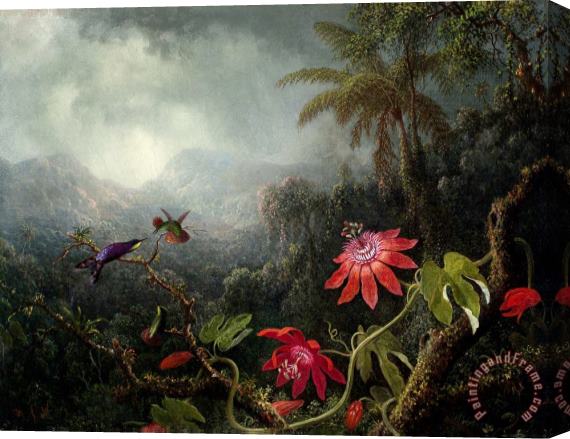 Martin Johnson Heade Passion Flowers with Three Hummingbirds Stretched Canvas Painting / Canvas Art