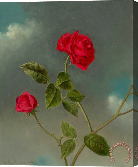Martin Johnson Heade Roses, 1876 Stretched Canvas Print / Canvas Art