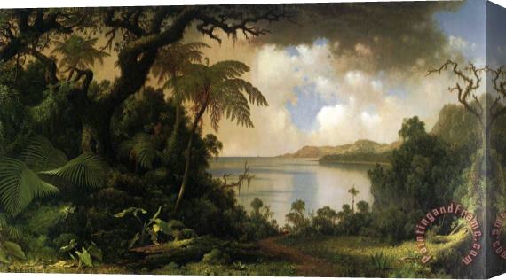Martin Johnson Heade View From Fern Tree Walk, Jamaica Stretched Canvas Print / Canvas Art