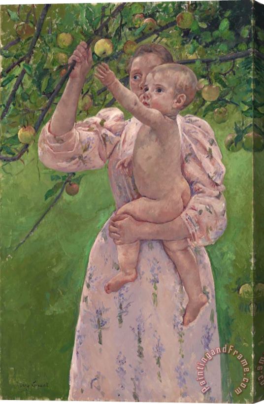 Mary Cassatt Child Picking a Fruit (enfant Cueillant Un Fruit) Stretched Canvas Print / Canvas Art