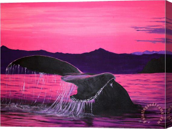 Megan Aroon Duncanson Pink Whale Stretched Canvas Painting / Canvas Art