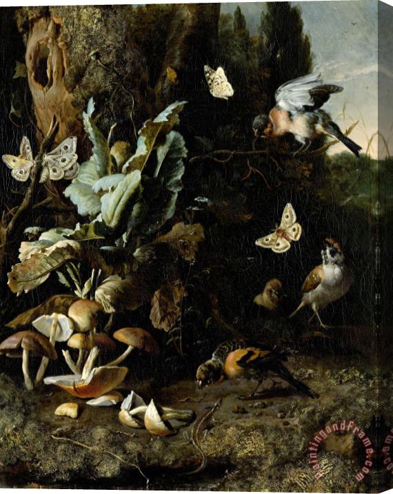 Melchior de Hondecoeter Animals And Plants Stretched Canvas Print / Canvas Art