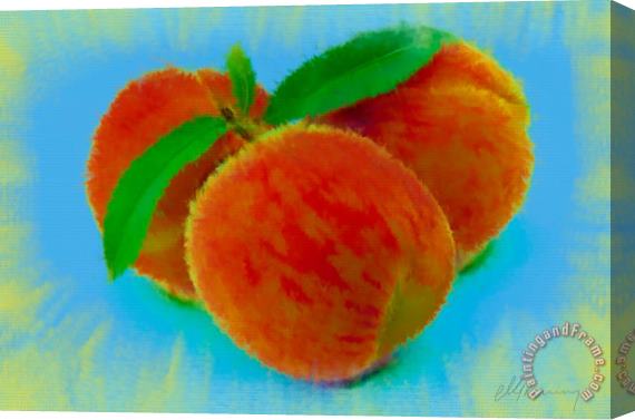 Michael Greenaway Abstract Fruit Painting Stretched Canvas Painting / Canvas Art
