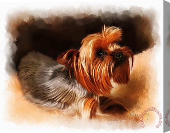 Michael Greenaway Cute Pet Dog Portrait Stretched Canvas Print / Canvas Art