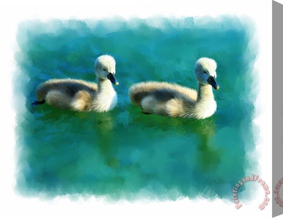 Michael Greenaway Double Ducklings Stretched Canvas Painting / Canvas Art