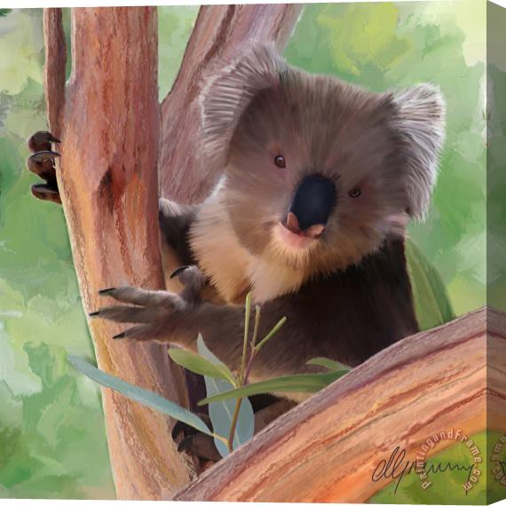 Michael Greenaway Koala Painting Stretched Canvas Print / Canvas Art