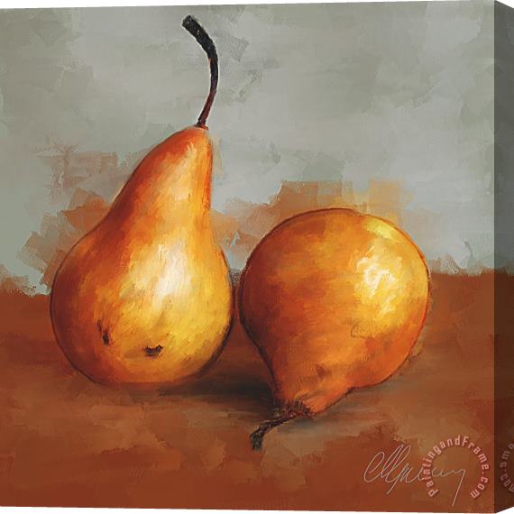 Michael Greenaway Pears Still Life Stretched Canvas Painting / Canvas Art