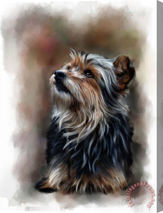 Michael Greenaway Pet Dog Portrait Stretched Canvas Painting / Canvas Art