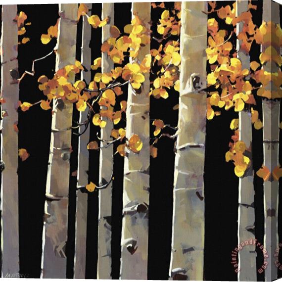 Michael O'toole Aspen Grove Stretched Canvas Painting / Canvas Art