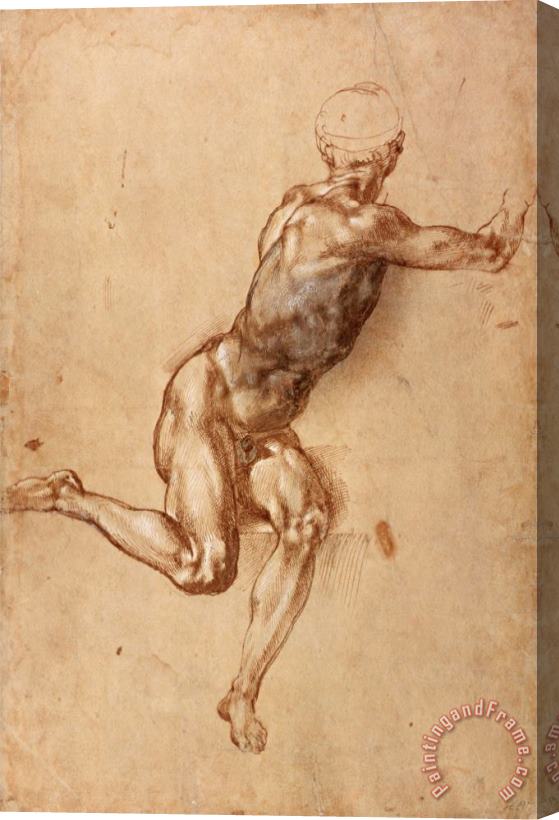 Michelangelo Buonarroti A Seated Male Nude Twisting Around C 1505 Stretched Canvas Print / Canvas Art