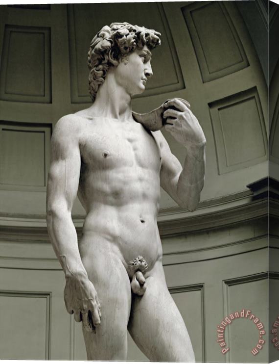 Michelangelo Buonarroti David 3 4 Profile Stretched Canvas Painting / Canvas Art