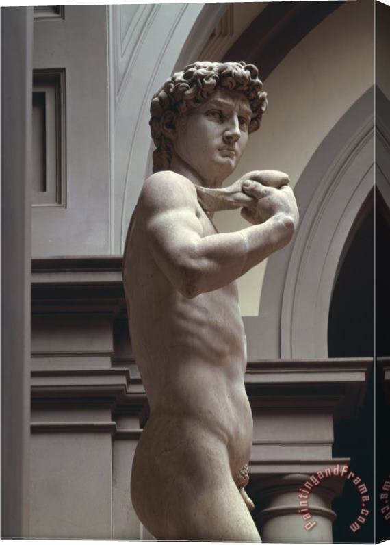 Michelangelo Buonarroti David Detail of Upper Section 1504 Stretched Canvas Print / Canvas Art