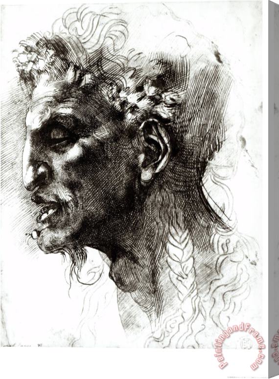 Michelangelo Buonarroti Head of a Satyr Stretched Canvas Print / Canvas Art