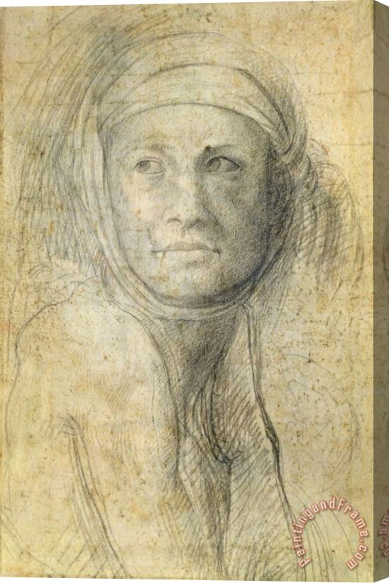 Michelangelo Buonarroti Head of a Woman Stretched Canvas Print / Canvas Art