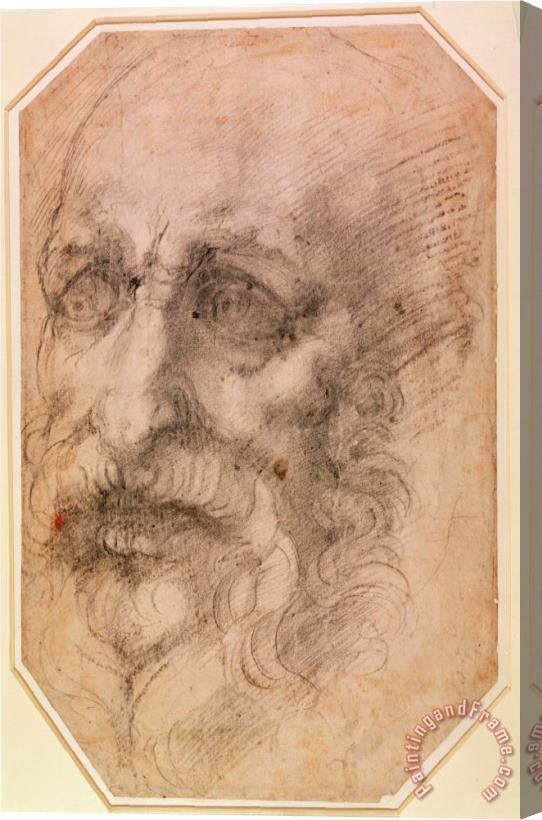 Michelangelo Buonarroti Portrait of a Bearded Man Stretched Canvas Print / Canvas Art