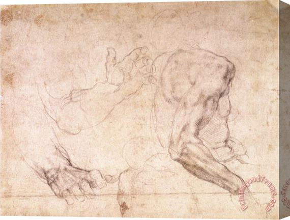 Michelangelo Buonarroti Studies of Hands And an Arm Stretched Canvas Print / Canvas Art