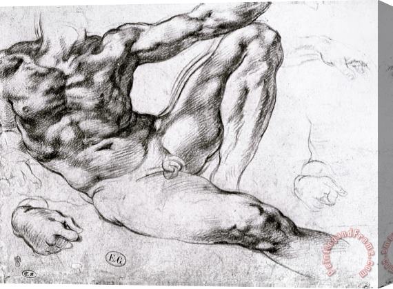Michelangelo Buonarroti Study for The Creation of Adam Stretched Canvas Print / Canvas Art