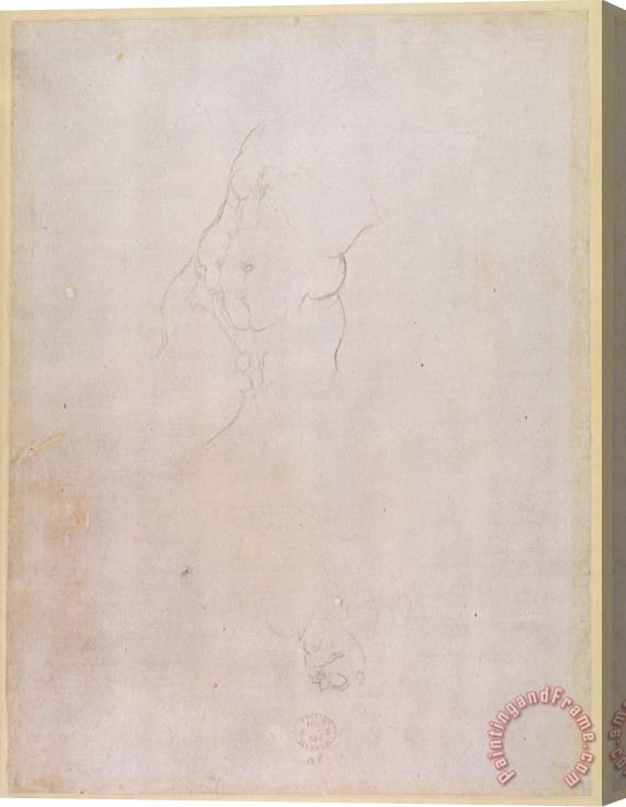 Michelangelo Buonarroti Study of a Male Torso Pencil on Paper Verso for Recto See 192512 Stretched Canvas Print / Canvas Art