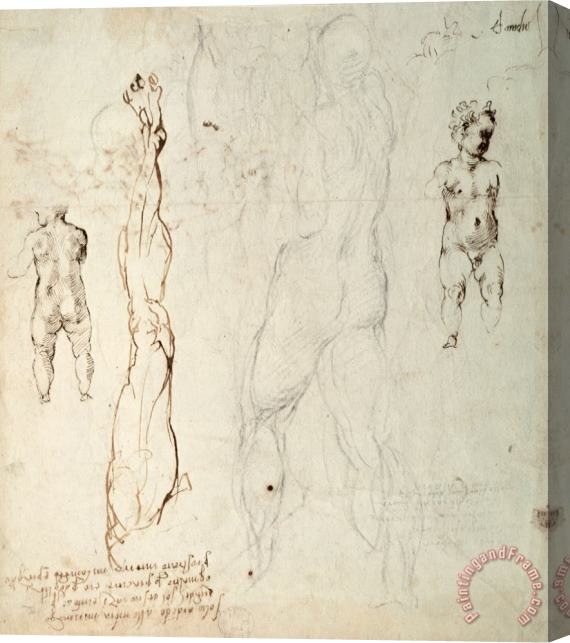Michelangelo Buonarroti Study of The Christ Child And an Anatomical Drawing with Notes Stretched Canvas Painting / Canvas Art