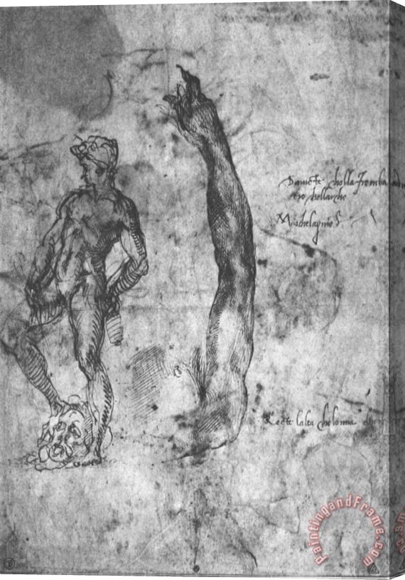 Michelangelo Study for an Arm of The Marble David And The Figure of The Bronze David Stretched Canvas Painting / Canvas Art