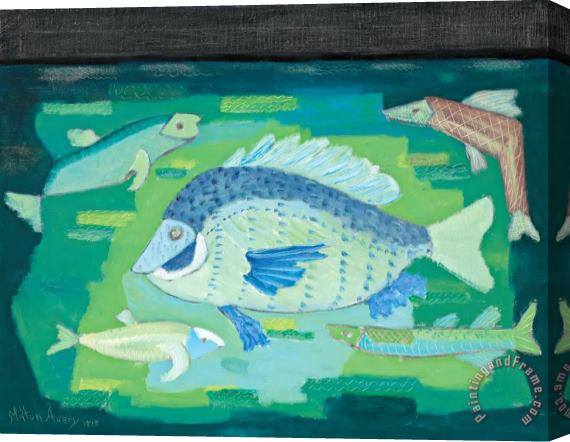 Milton Avery Fish, 1948 Stretched Canvas Print / Canvas Art