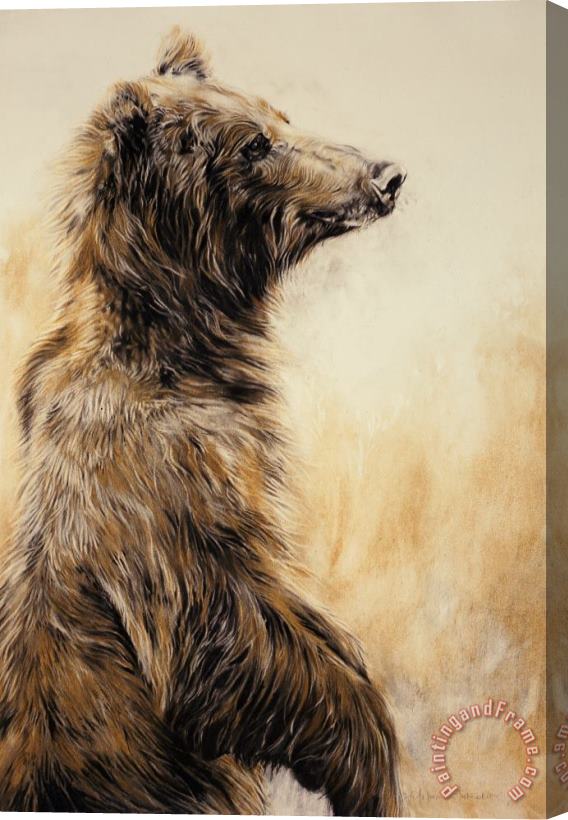Odile Kidd Grizzly Bear 2 Stretched Canvas Print / Canvas Art
