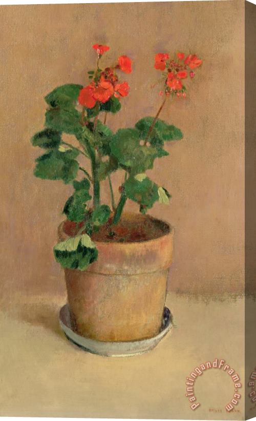 Odilon Redon Geraniums In A Pot Stretched Canvas Painting / Canvas Art