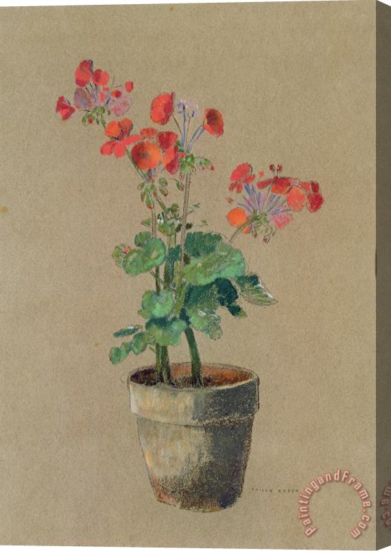 Odilon Redon Geraniums In A Pot Stretched Canvas Print / Canvas Art