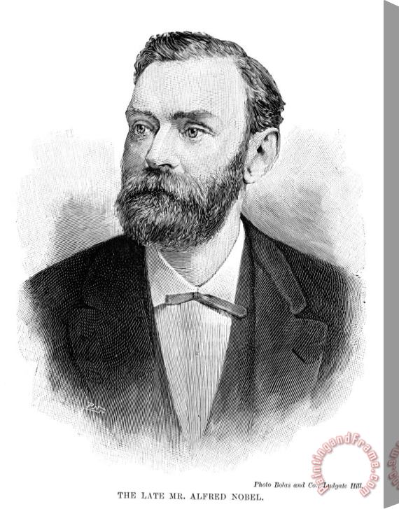Others Alfred Nobel (1833-1896) Stretched Canvas Painting / Canvas Art