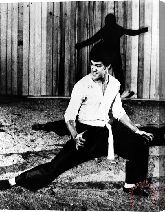 Others Bruce Lee (1940-1973) Stretched Canvas Print / Canvas Art