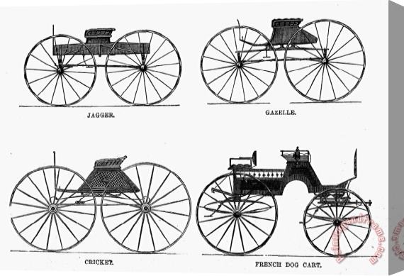 Others CARRIAGE TYPES, c1860 Stretched Canvas Print / Canvas Art