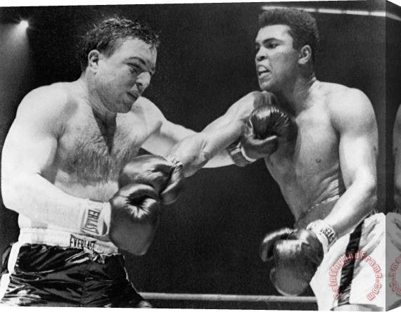 Others Chuvalo And Ali, 1966 Stretched Canvas Painting / Canvas Art
