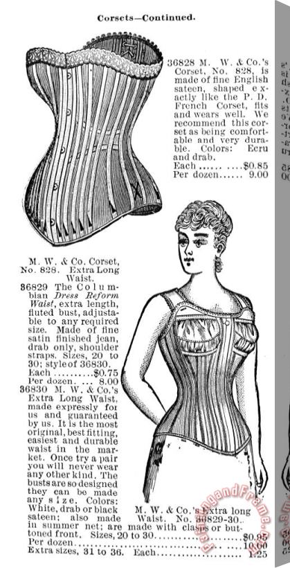 Others Corset Advertisement, 1895 Stretched Canvas Print / Canvas Art
