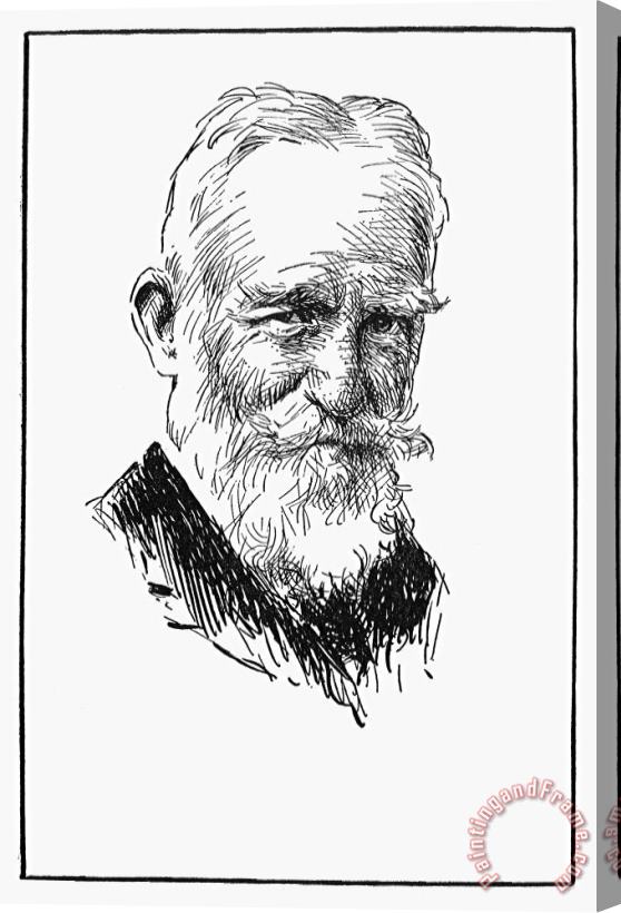 Others George Bernard Shaw Stretched Canvas Print / Canvas Art