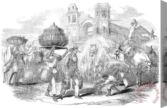 Others Havana, Cuba, 1853 Stretched Canvas Painting / Canvas Art