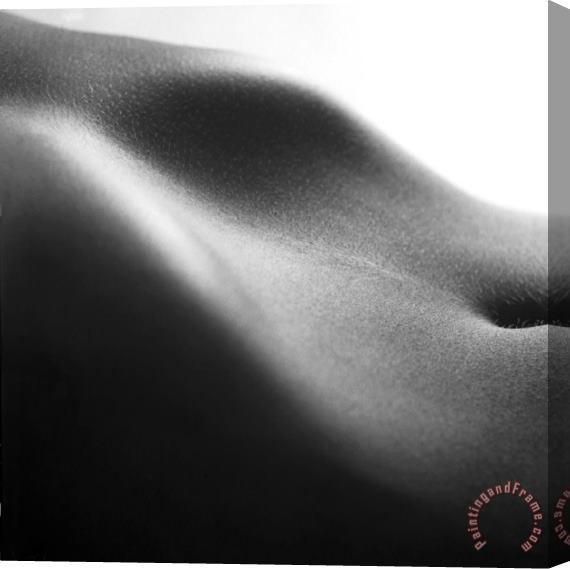 Others Human form abstract body part Stretched Canvas Print / Canvas Art