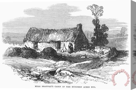 Others Ireland: Cabin, 1870 Stretched Canvas Painting / Canvas Art